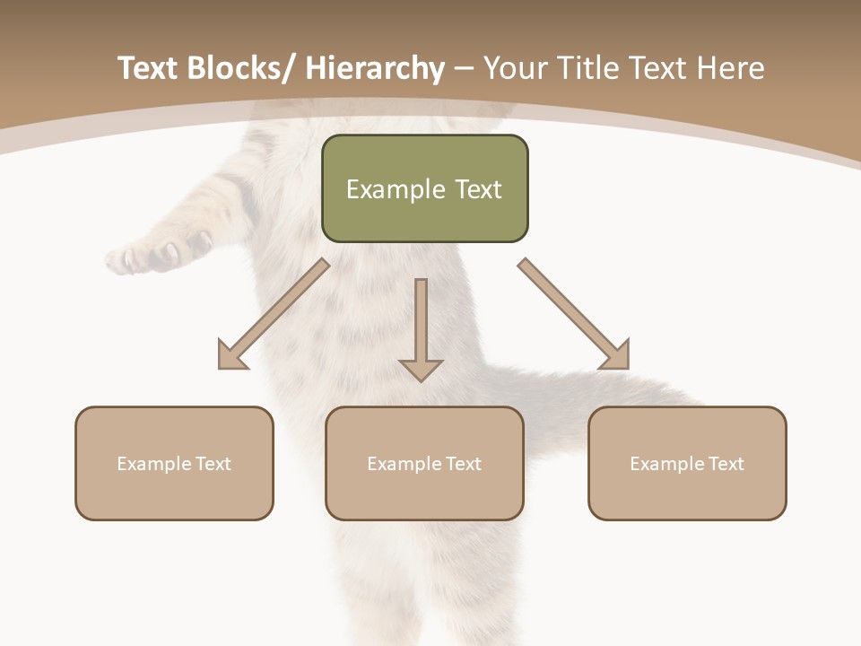 Striped Tabby Standing PowerPoint Template