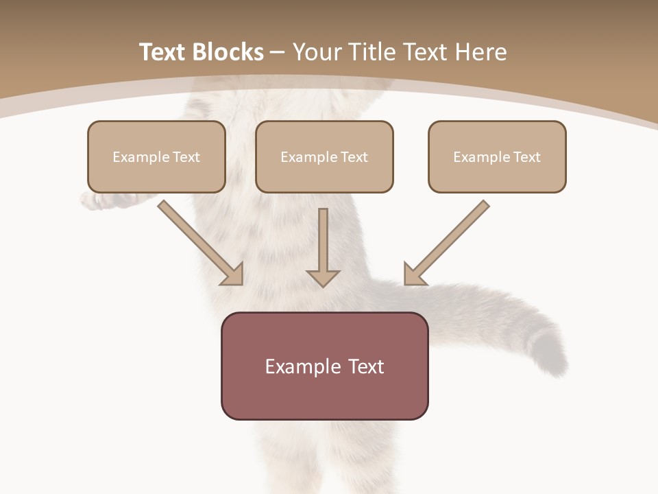Striped Tabby Standing PowerPoint Template