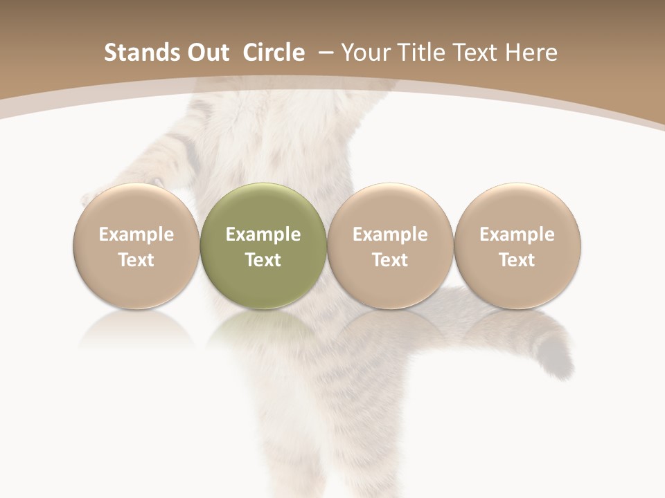 Striped Tabby Standing PowerPoint Template