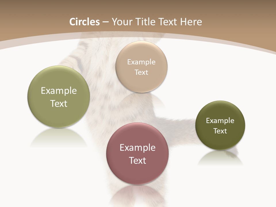 Striped Tabby Standing PowerPoint Template