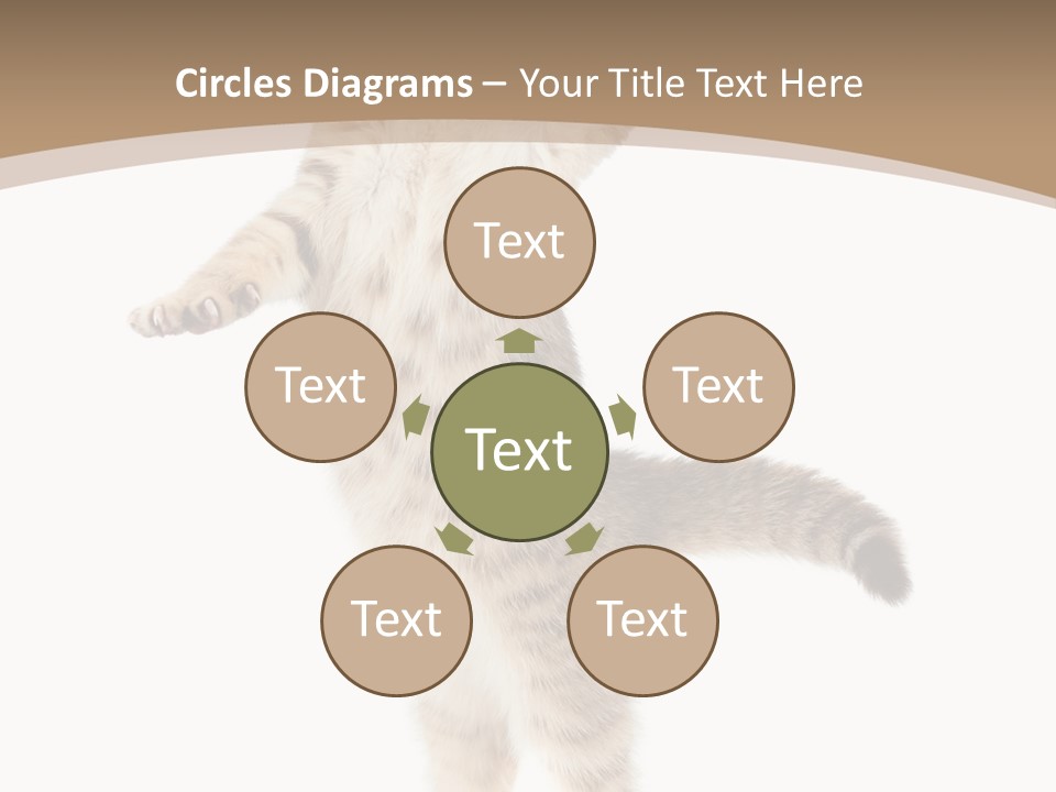 Striped Tabby Standing PowerPoint Template