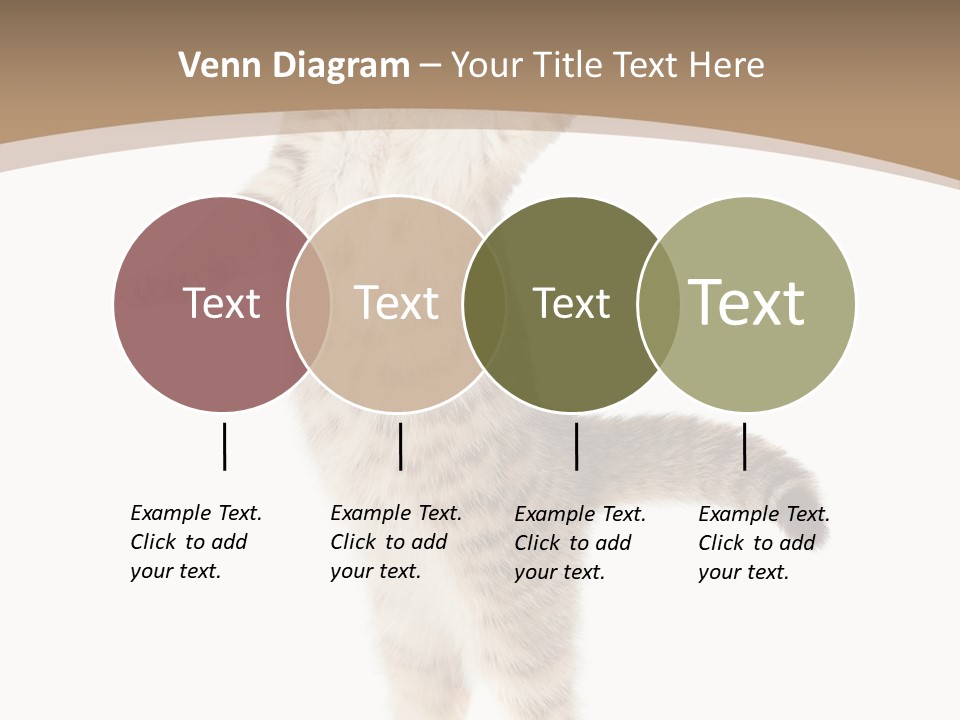 Striped Tabby Standing PowerPoint Template