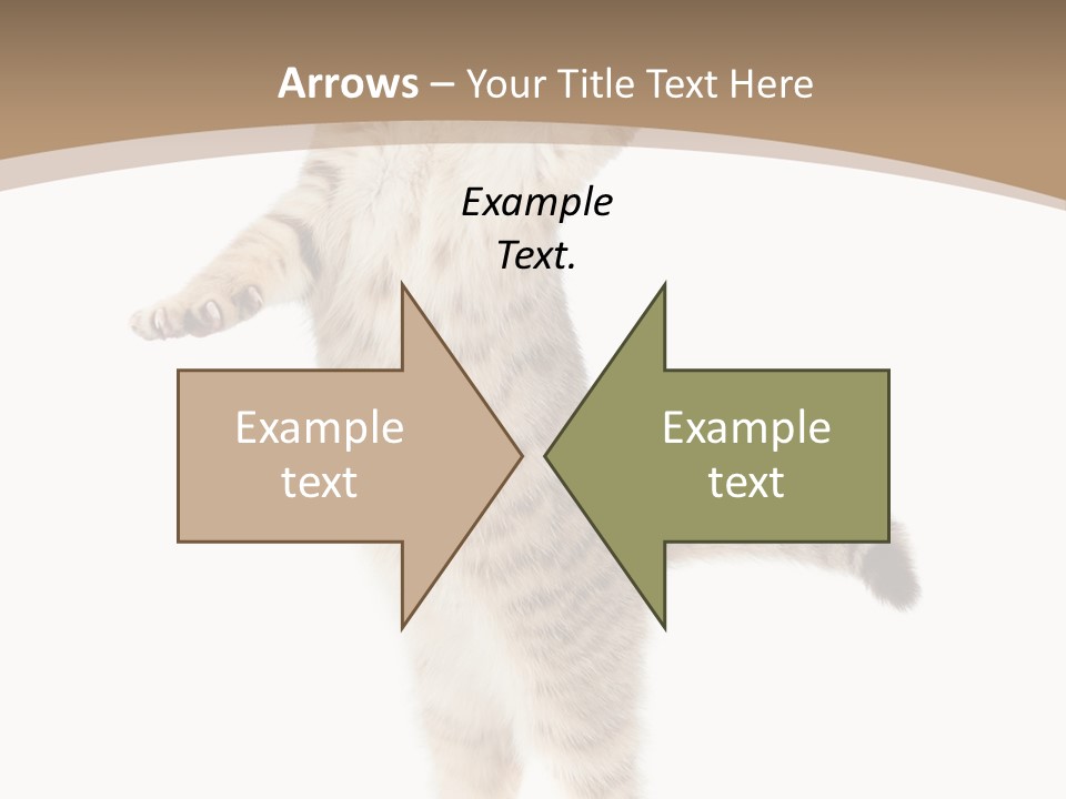 Striped Tabby Standing PowerPoint Template