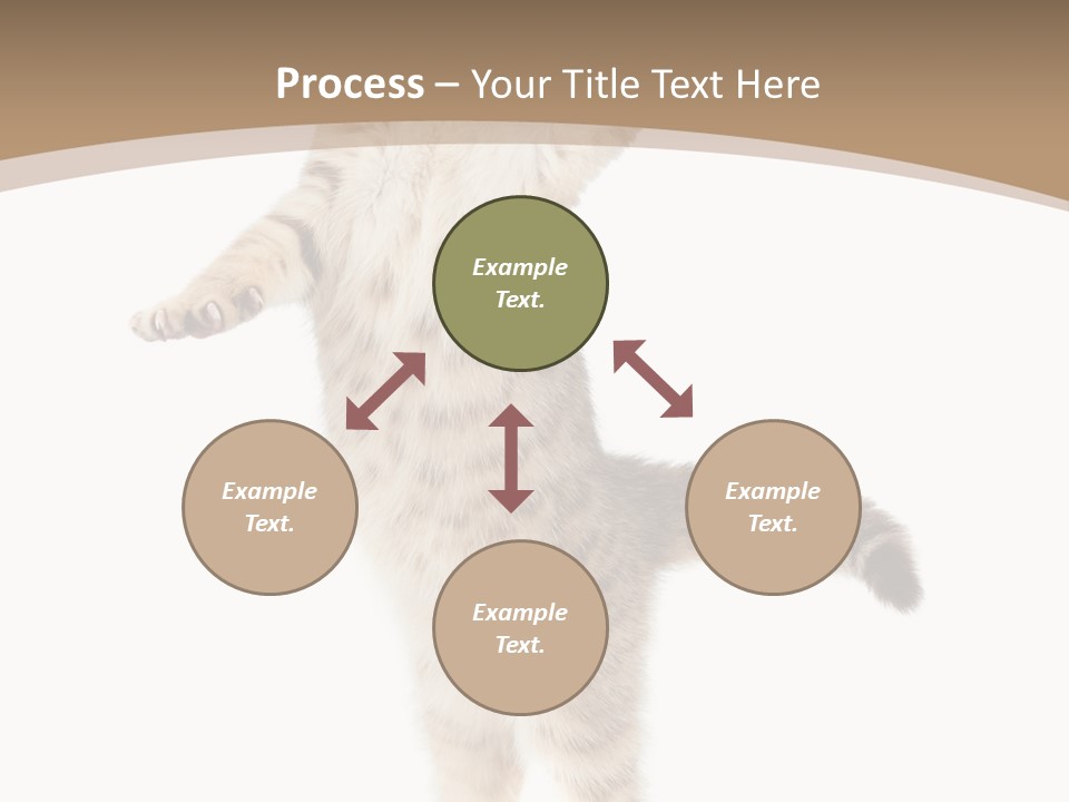 Striped Tabby Standing PowerPoint Template