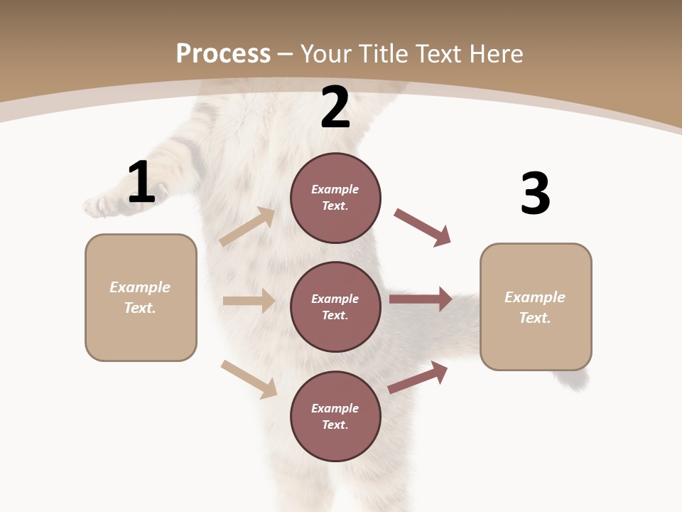 Striped Tabby Standing PowerPoint Template