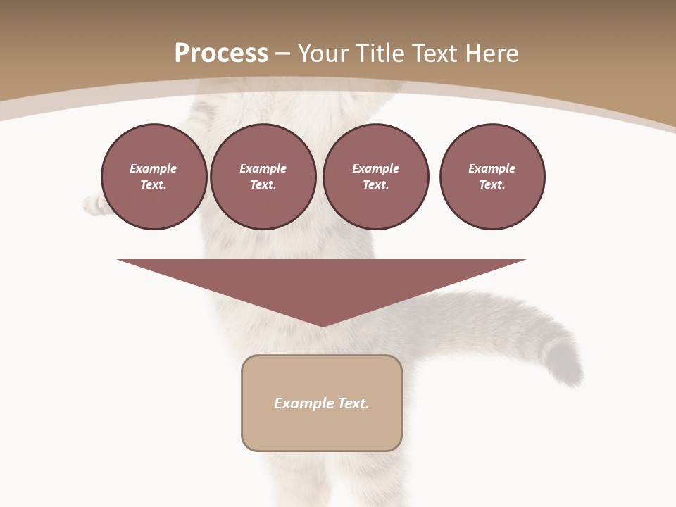 Striped Tabby Standing PowerPoint Template