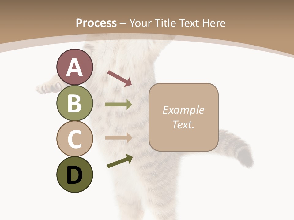 Striped Tabby Standing PowerPoint Template