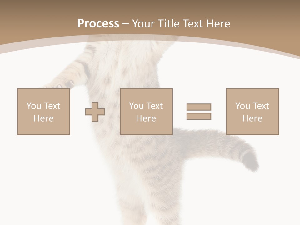 Striped Tabby Standing PowerPoint Template