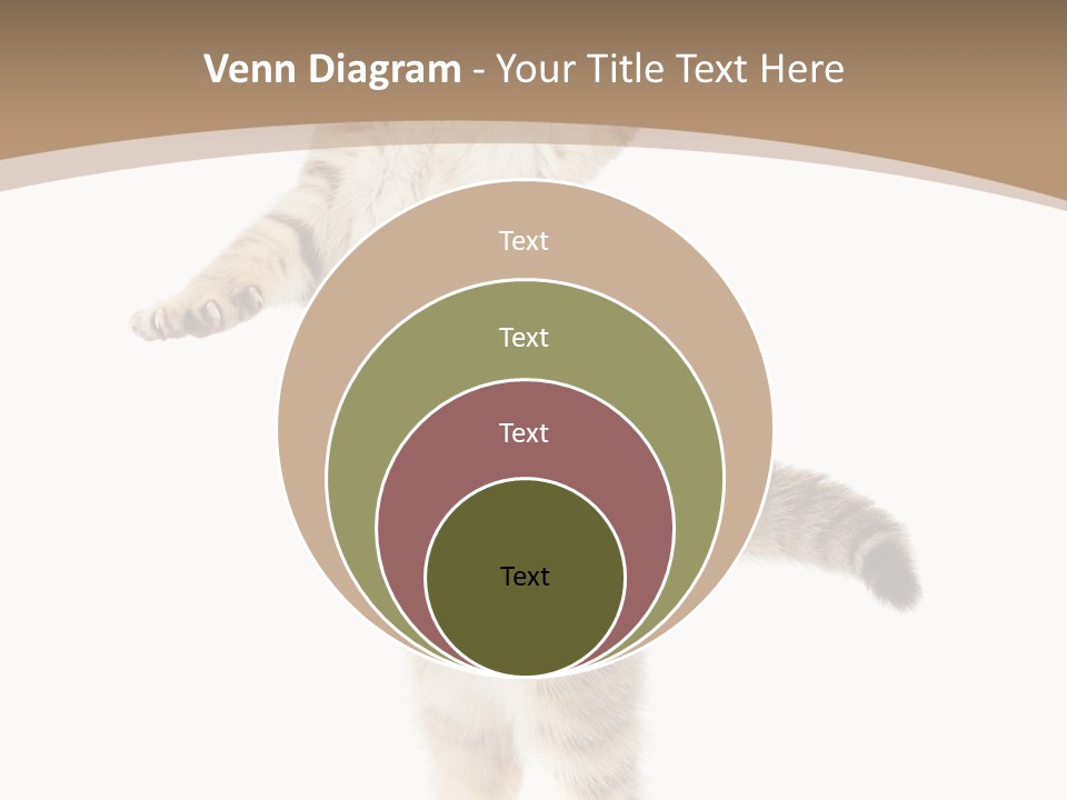 Striped Tabby Standing PowerPoint Template