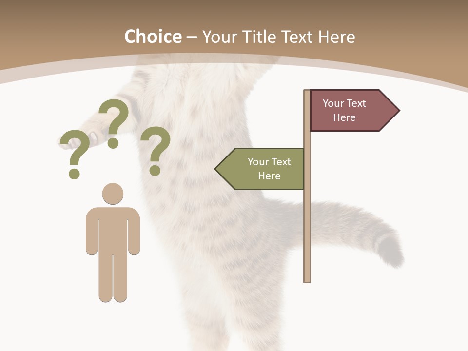 Striped Tabby Standing PowerPoint Template