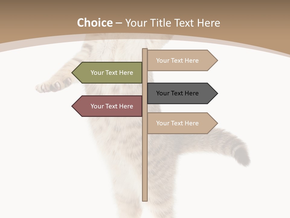 Striped Tabby Standing PowerPoint Template