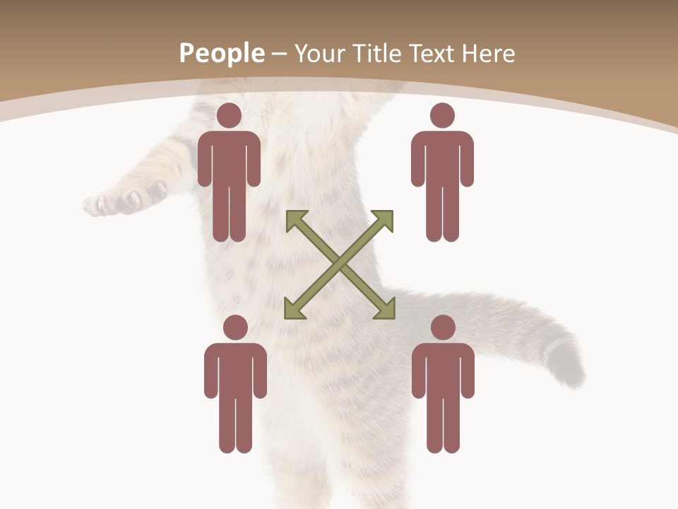 Striped Tabby Standing PowerPoint Template