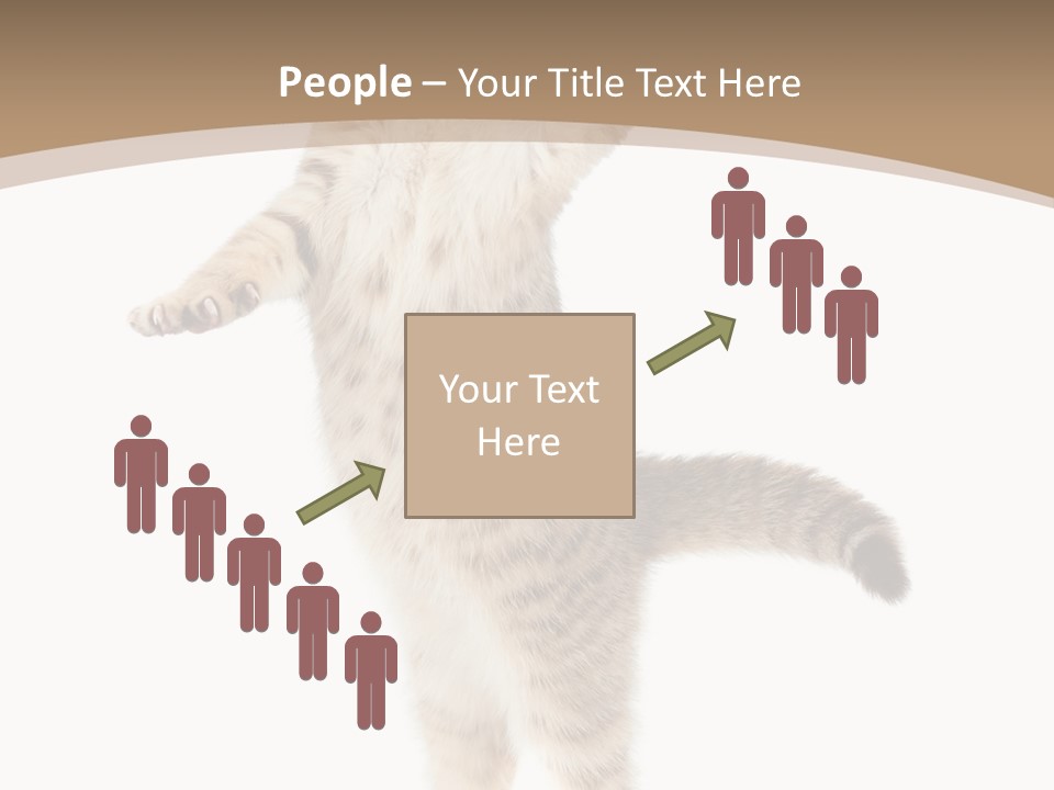 Striped Tabby Standing PowerPoint Template