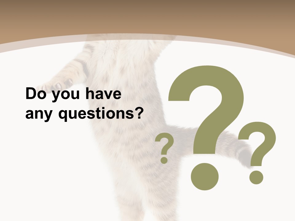 Striped Tabby Standing PowerPoint Template