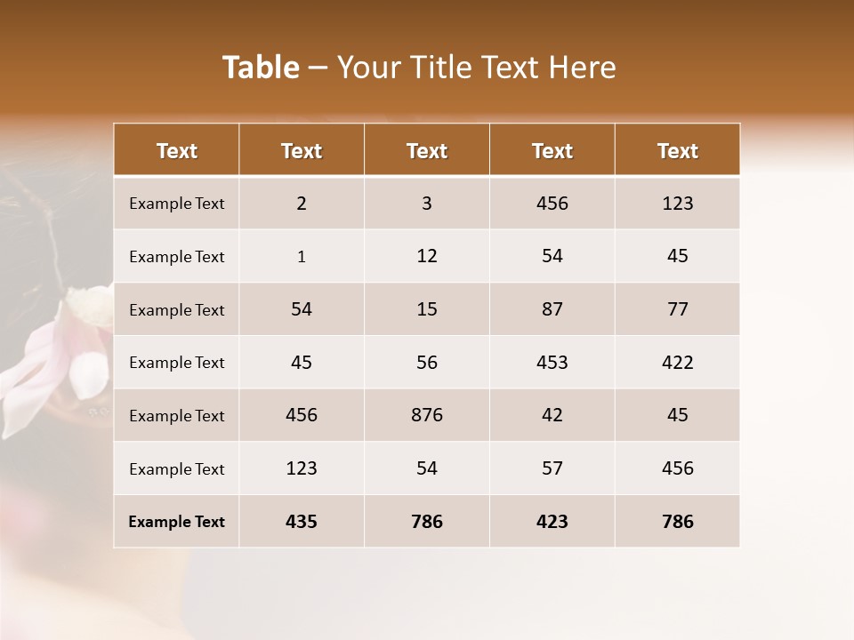 Hair Skin Portrait PowerPoint Template