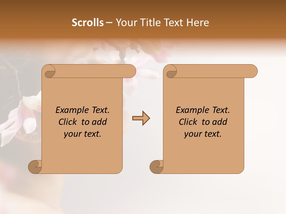 Hair Skin Portrait PowerPoint Template