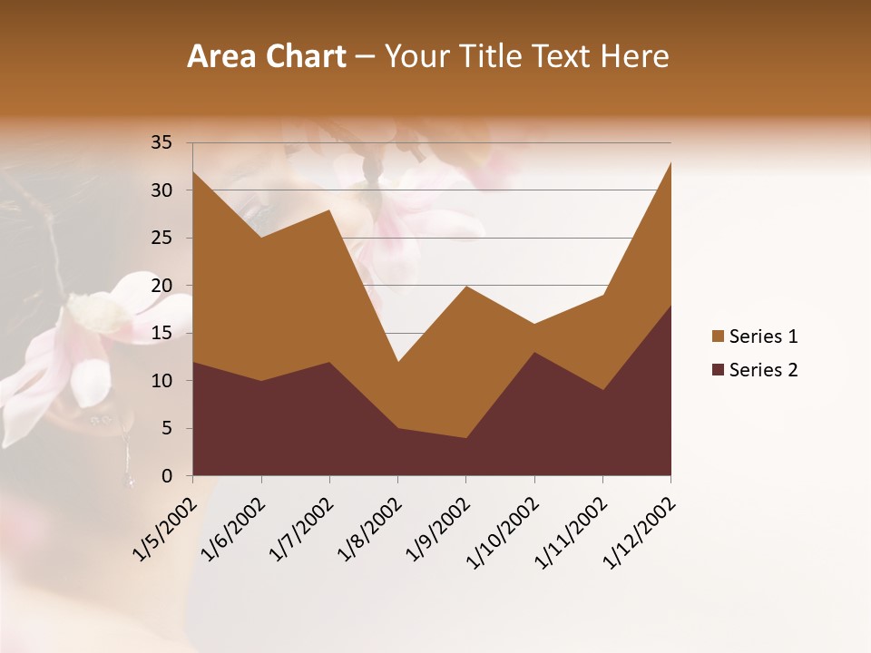 Hair Skin Portrait PowerPoint Template