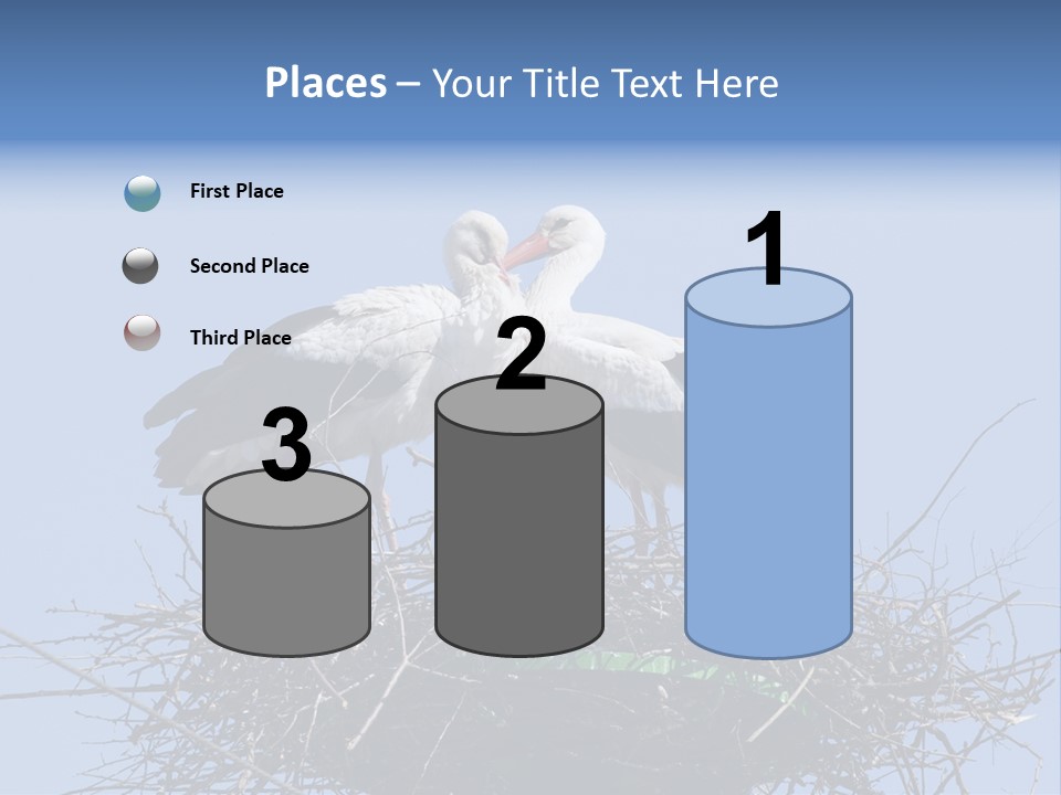 Wader Standing Home PowerPoint Template