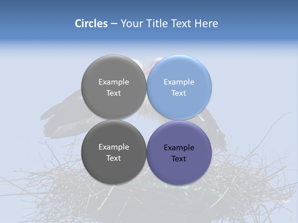 Wader Standing Home PowerPoint Template