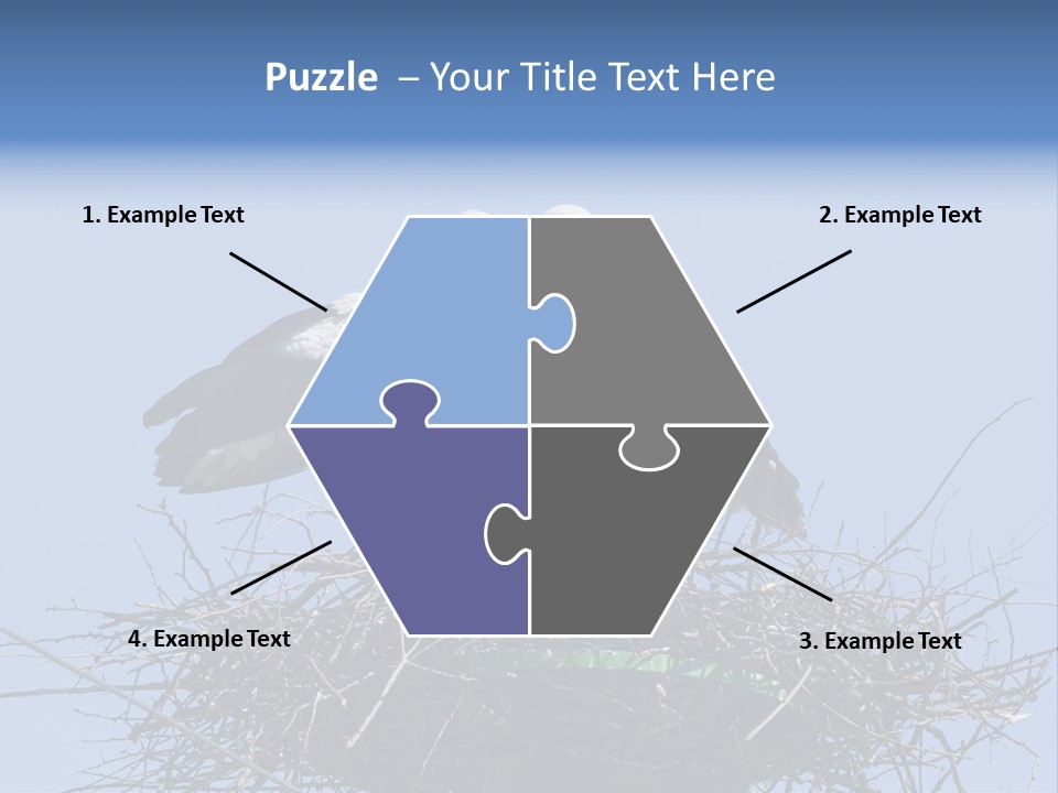 Wader Standing Home PowerPoint Template