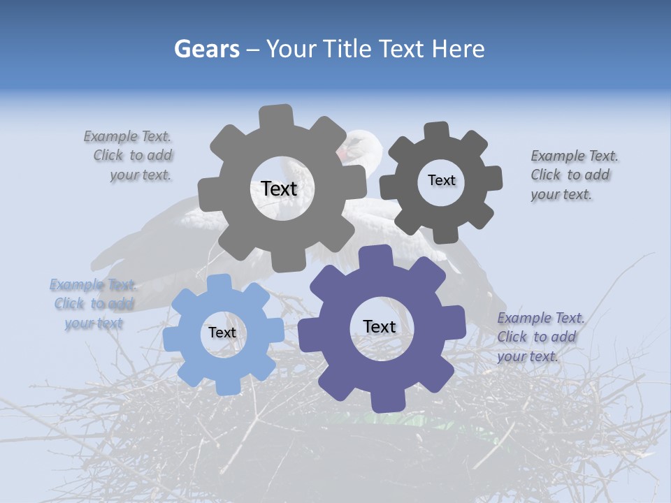 Wader Standing Home PowerPoint Template