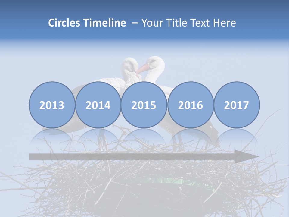 Wader Standing Home PowerPoint Template