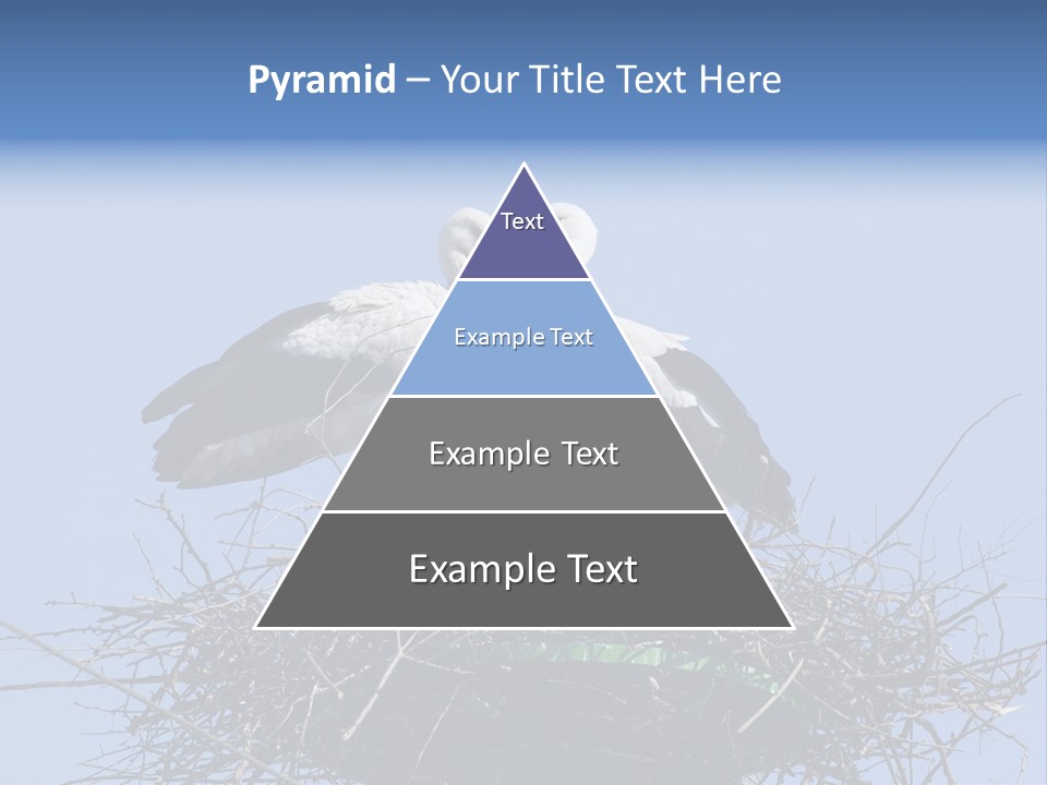 Wader Standing Home PowerPoint Template