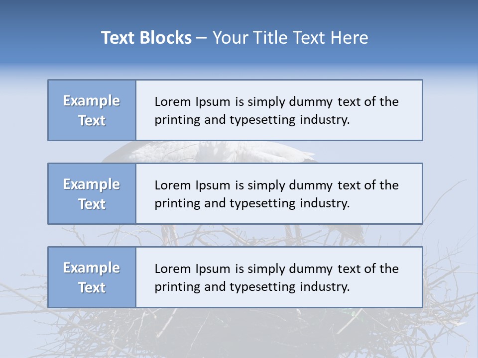 Wader Standing Home PowerPoint Template