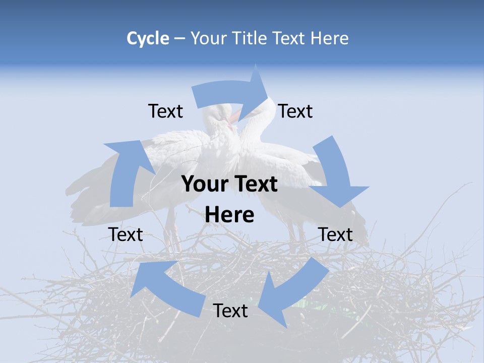 Wader Standing Home PowerPoint Template