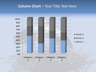 Wader Standing Home PowerPoint Template