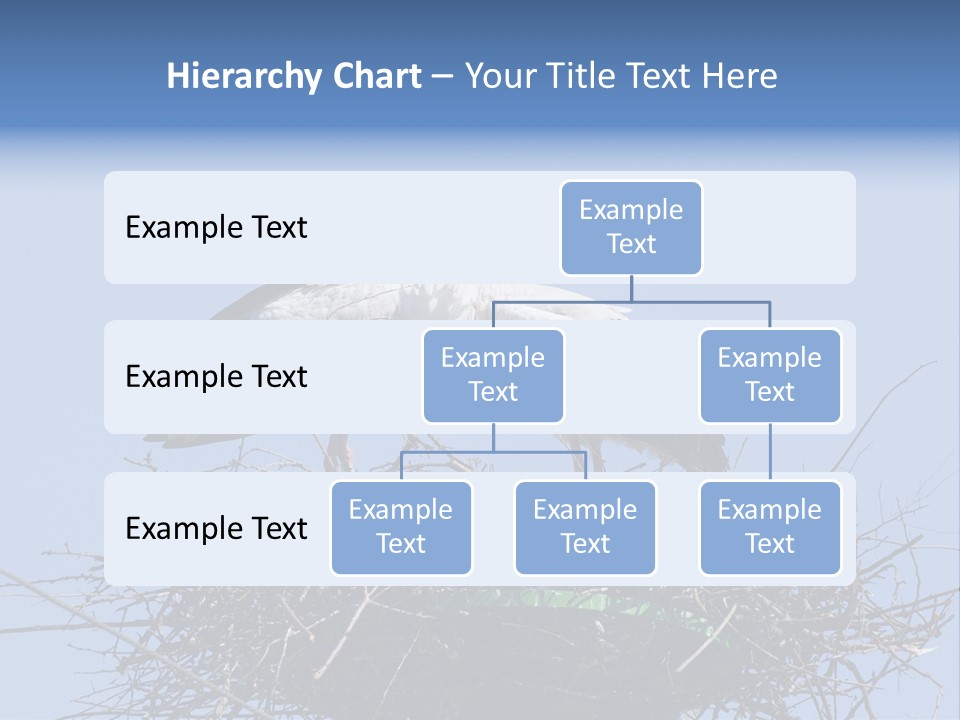 Wader Standing Home PowerPoint Template