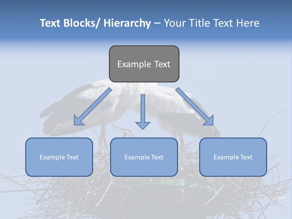 Wader Standing Home PowerPoint Template