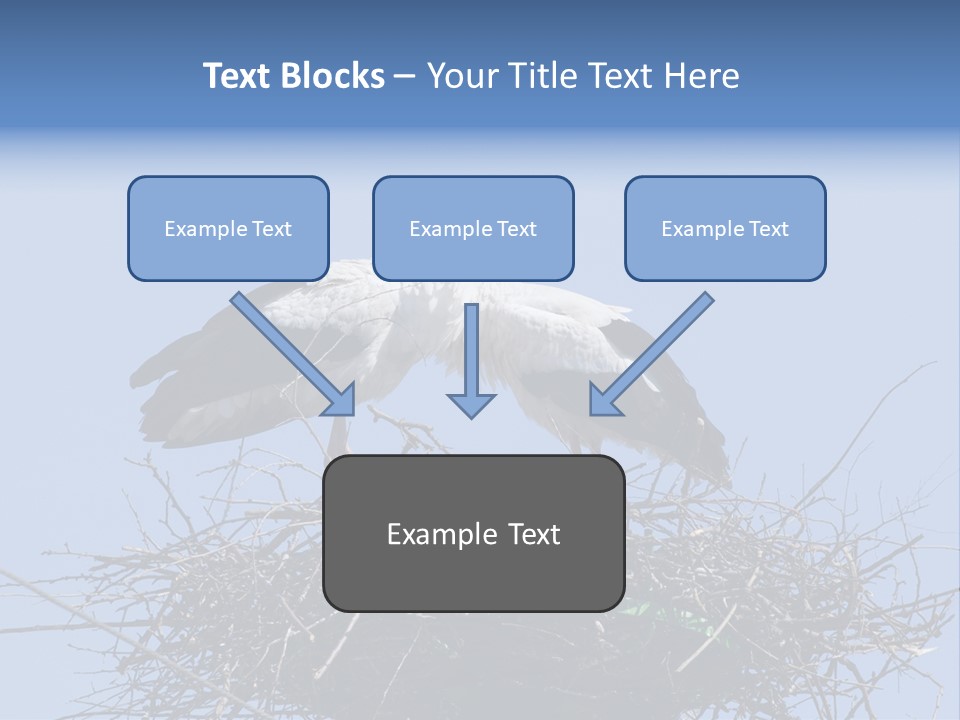 Wader Standing Home PowerPoint Template