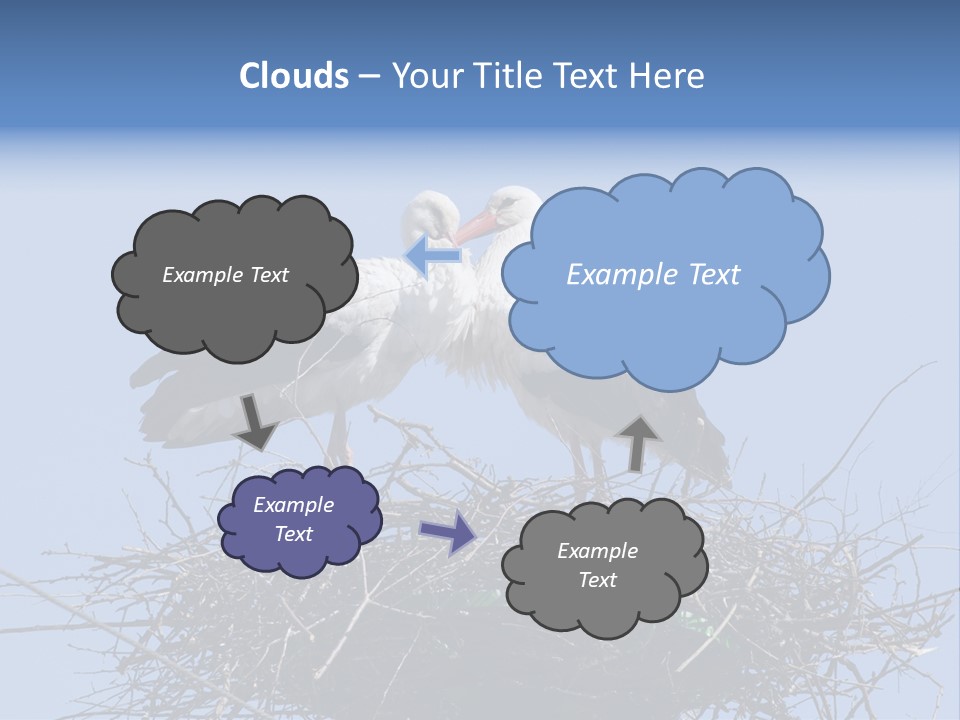 Wader Standing Home PowerPoint Template