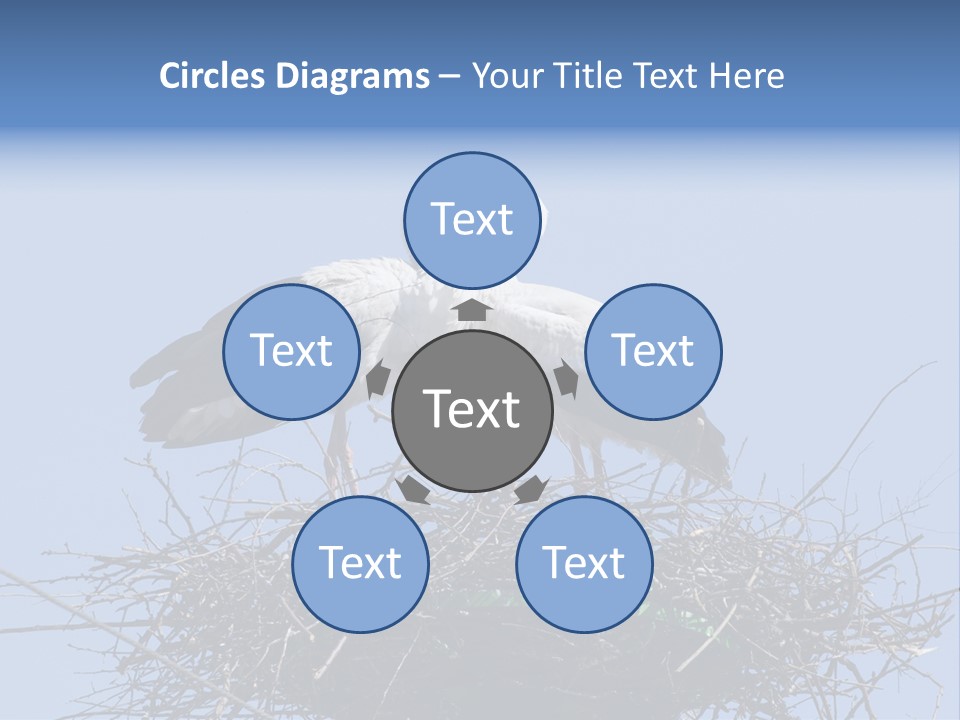 Wader Standing Home PowerPoint Template