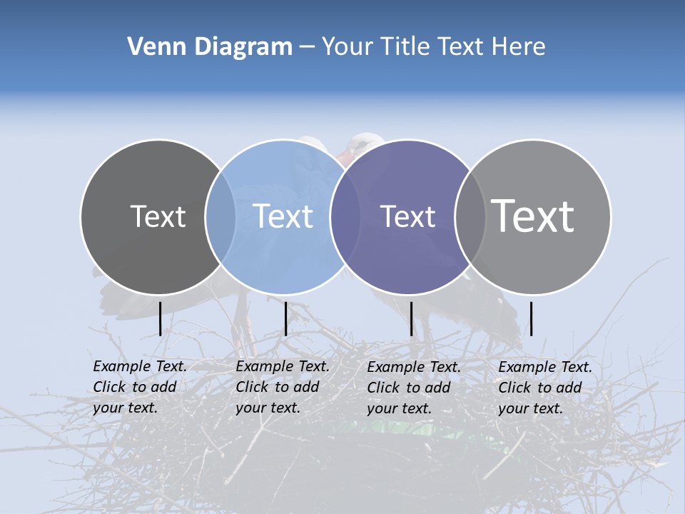 Wader Standing Home PowerPoint Template