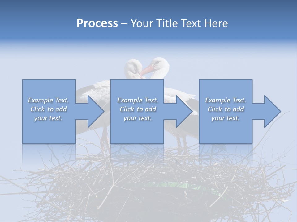 Wader Standing Home PowerPoint Template