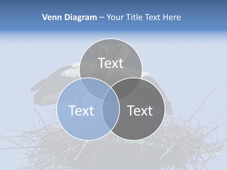 Wader Standing Home PowerPoint Template