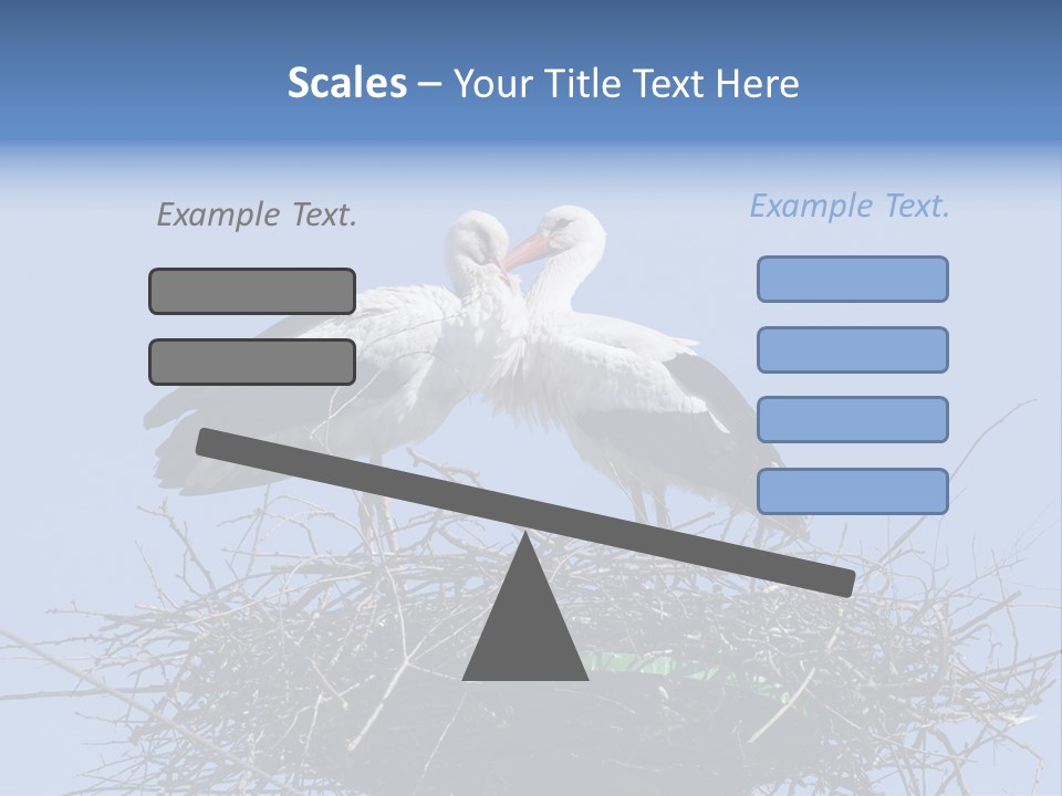 Wader Standing Home PowerPoint Template