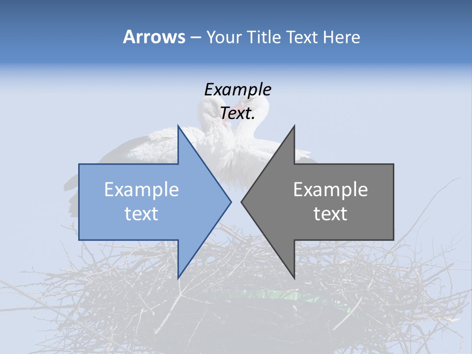 Wader Standing Home PowerPoint Template