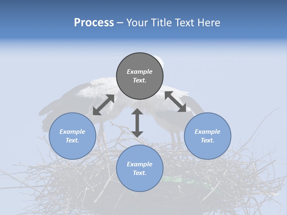 Wader Standing Home PowerPoint Template