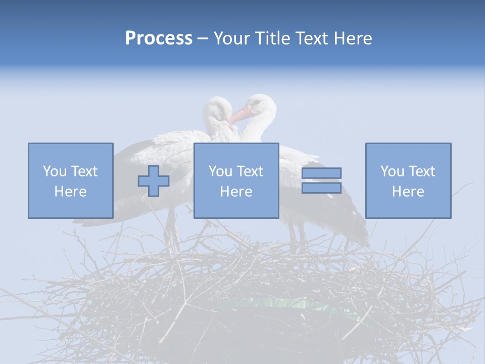 Wader Standing Home PowerPoint Template