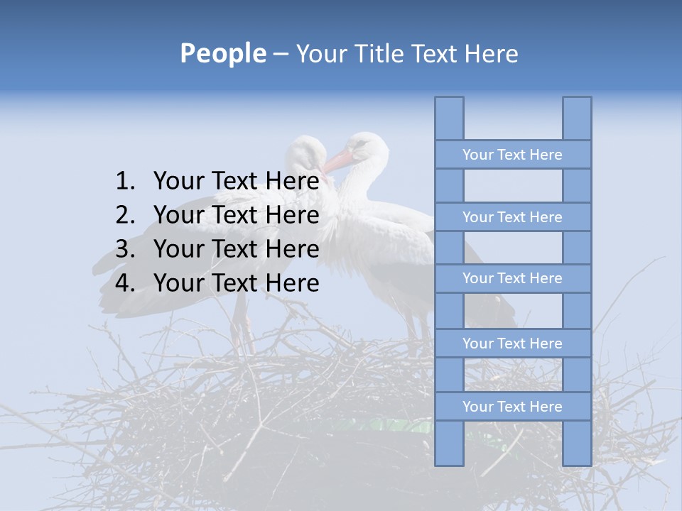 Wader Standing Home PowerPoint Template