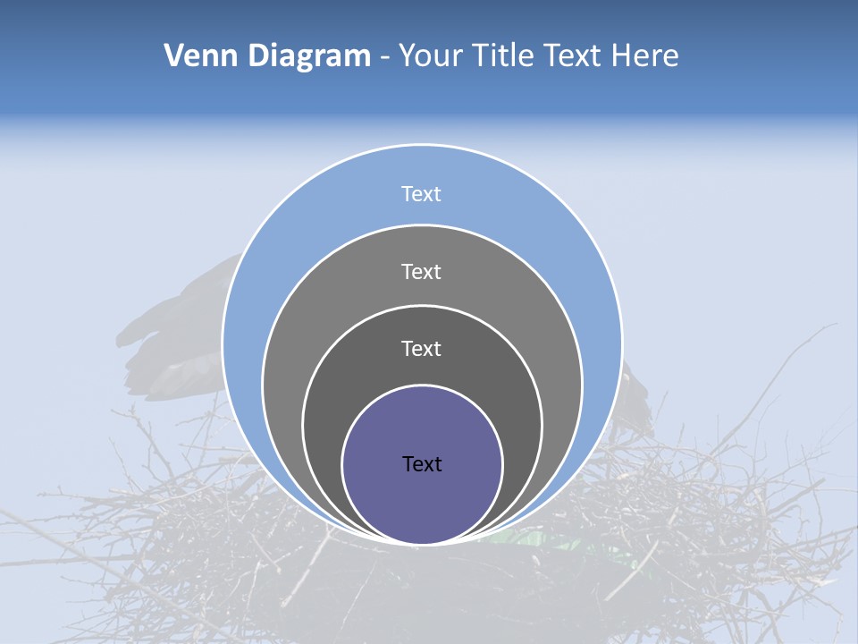 Wader Standing Home PowerPoint Template