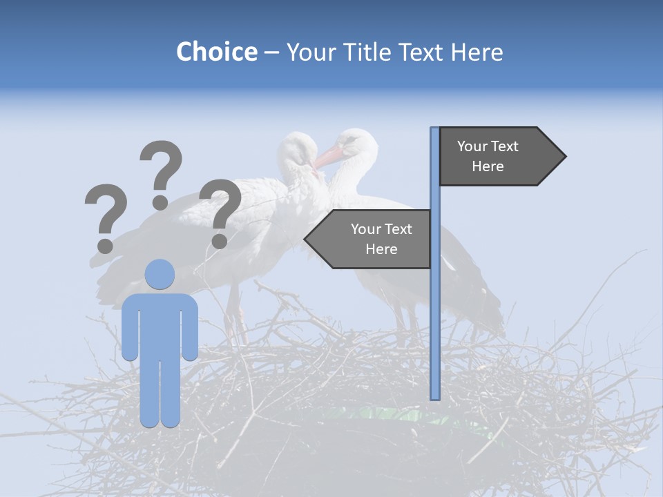 Wader Standing Home PowerPoint Template