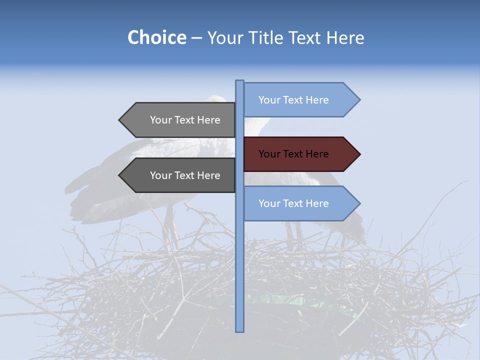 Wader Standing Home PowerPoint Template