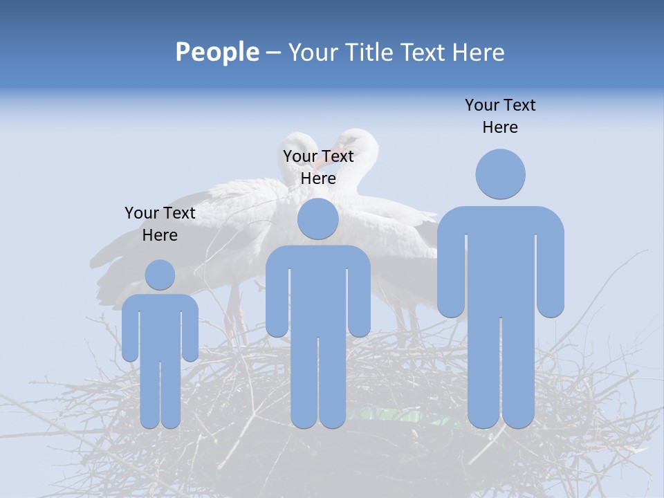 Wader Standing Home PowerPoint Template