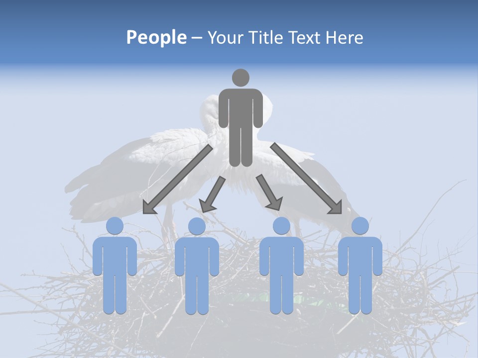 Wader Standing Home PowerPoint Template