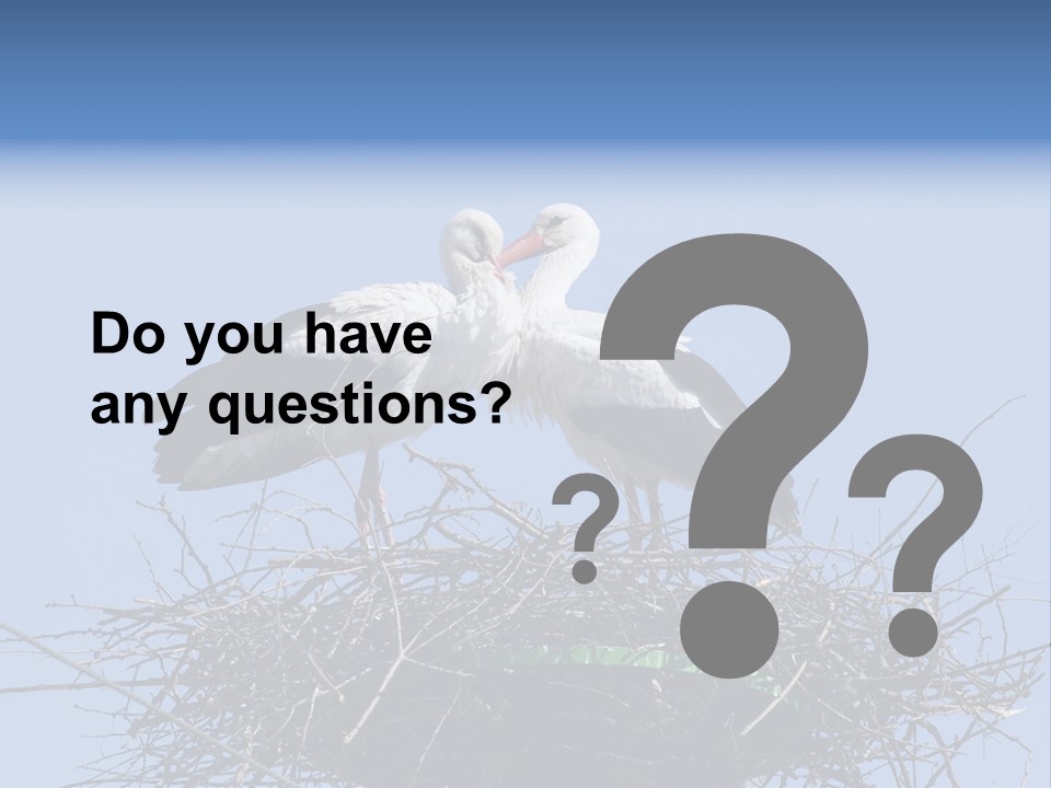 Wader Standing Home PowerPoint Template