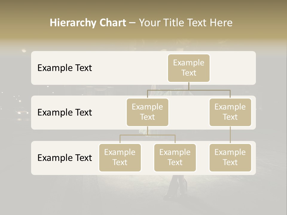 One Shopping Lifestyle PowerPoint Template